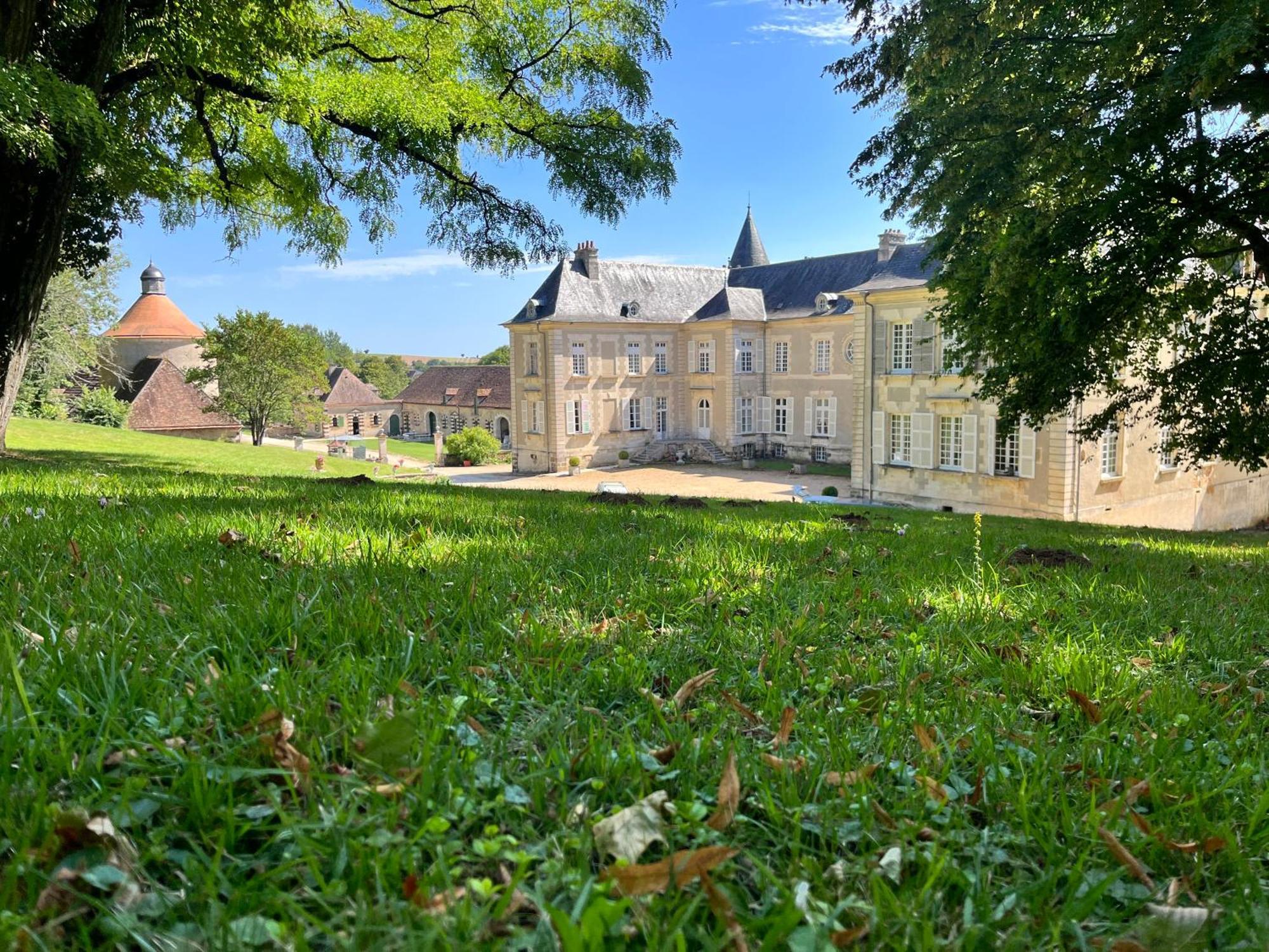 Chateau De Beaujeu Sens-Beaujeu Kültér fotó