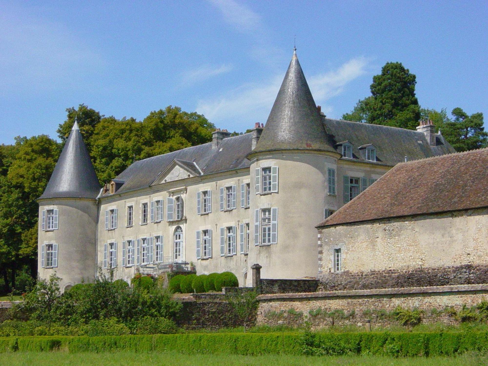Chateau De Beaujeu Sens-Beaujeu Kültér fotó