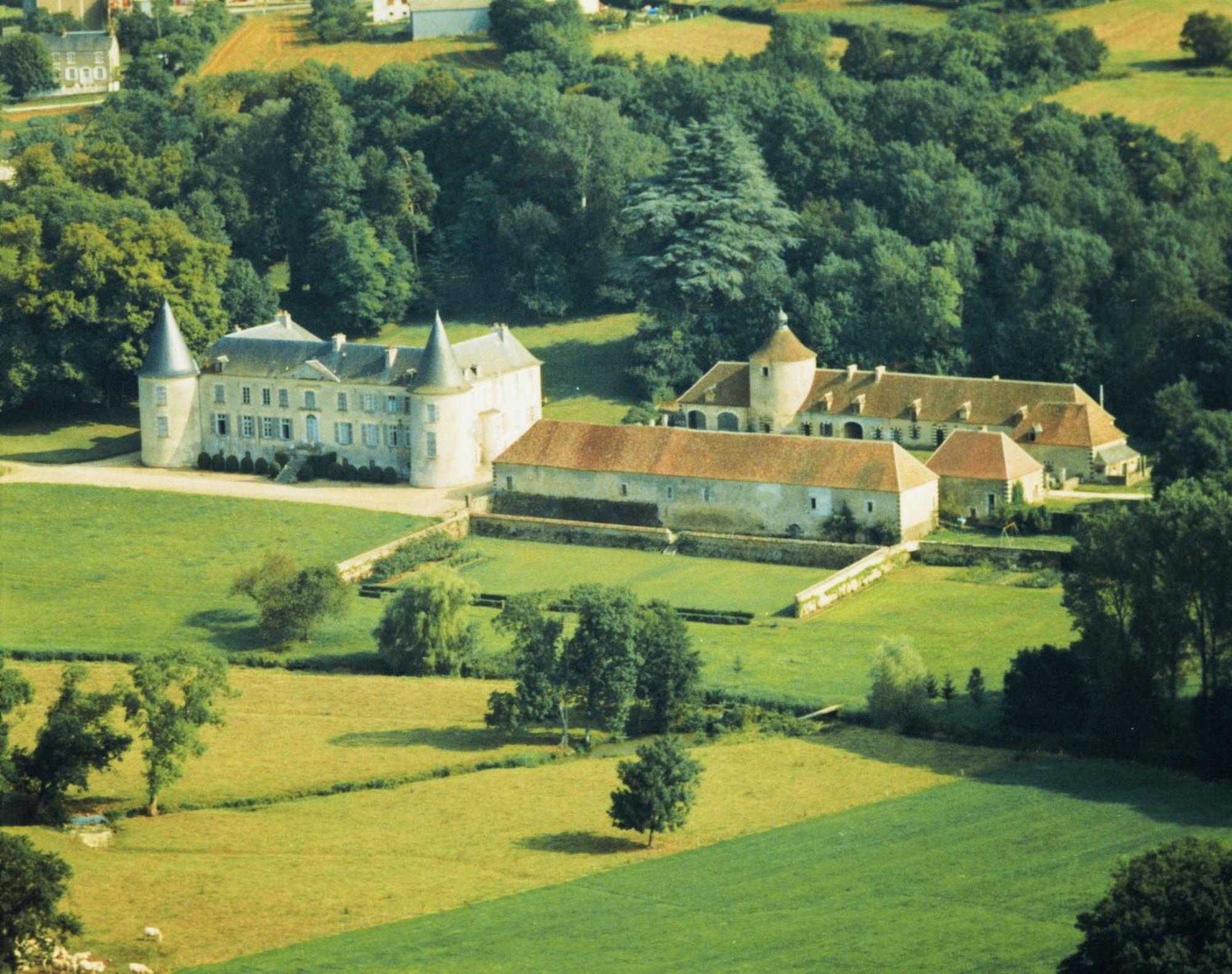 Chateau De Beaujeu Sens-Beaujeu Kültér fotó