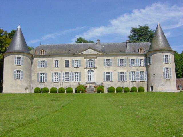 Chateau De Beaujeu Sens-Beaujeu Kültér fotó